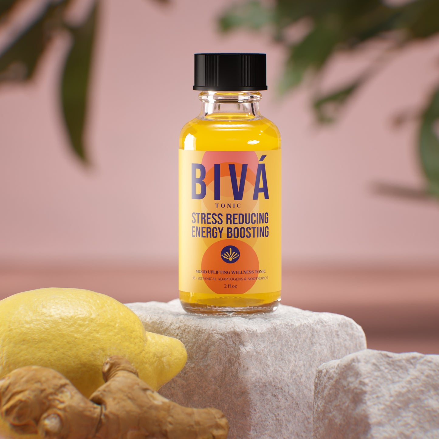 BIVÁ Tonic 12 Pack