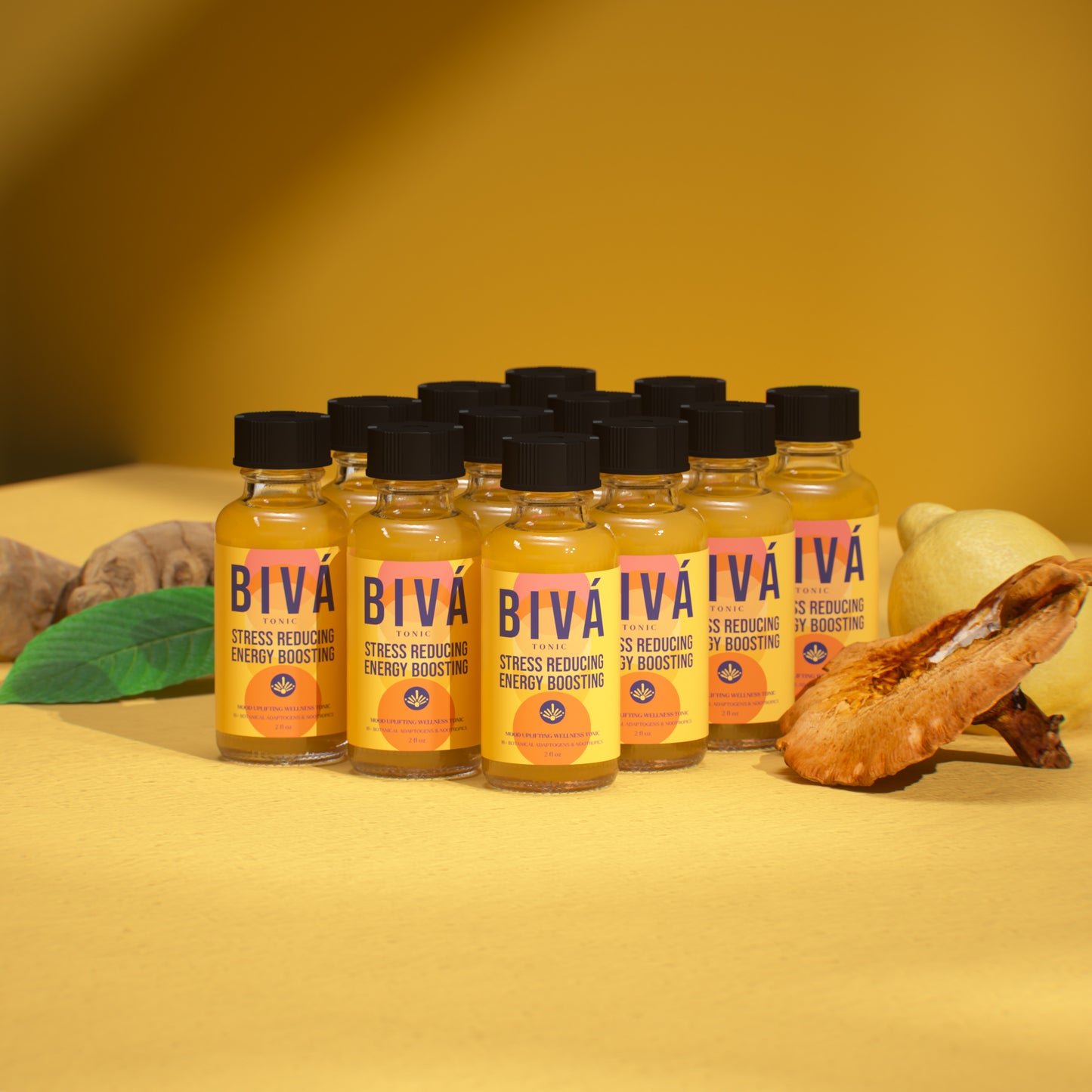 BIVÁ Tonic 12 Pack